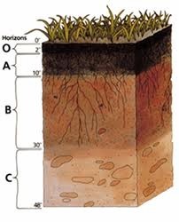 Strato Terreno