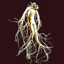 Ginseng