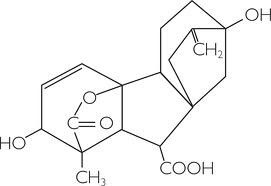 Gibberellina