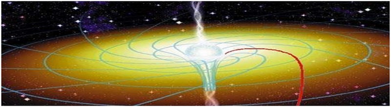 una cellula un universo