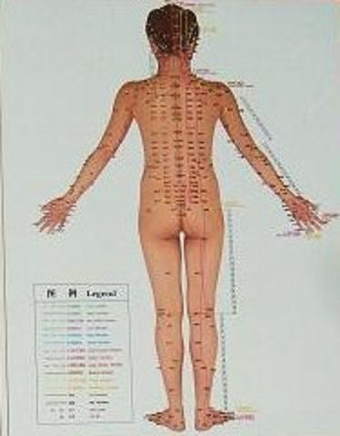 Corpo Umano