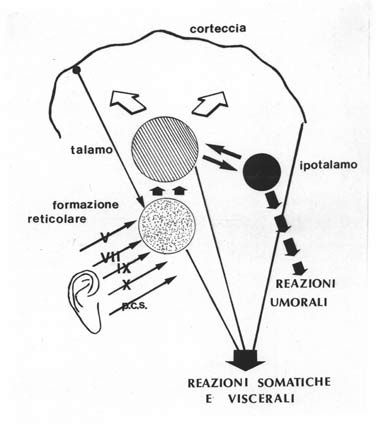 Reazioni Somatiche