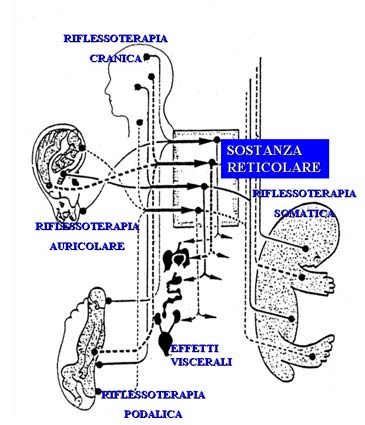 Sostanza Reticolare